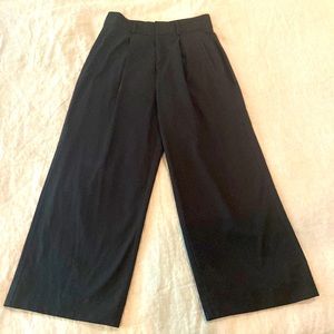 Everlane Way-High Drape Pant, size 0